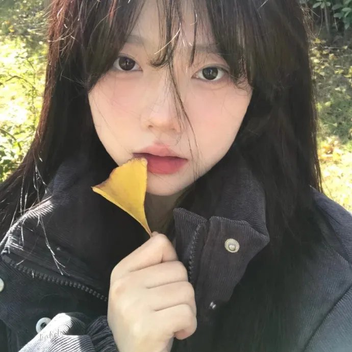 为你着迷动画版